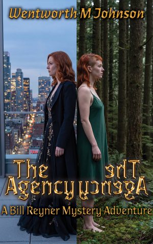 THE AGENCY by WENTWORTH M JOHNSON